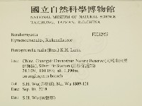 登錄號:F0032959藏品圖，第2張