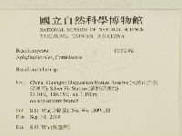 登錄號:F0032962藏品圖，第2張