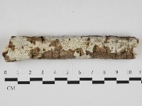 登錄號:F0032962藏品圖，第1張