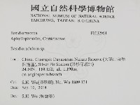 登錄號:F0032964藏品圖，第2張