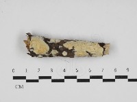 登錄號:F0032964藏品圖，第1張