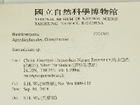 登錄號:F0032966藏品圖，第2張