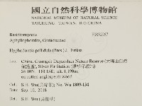 登錄號:F0032967藏品圖，第2張