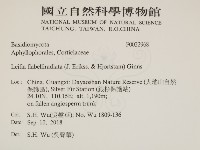 登錄號:F0032968藏品圖，第2張