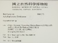 登錄號:F0032970藏品圖，第2張