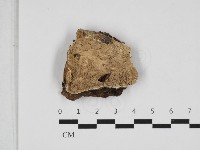 登錄號:F0032971藏品圖，第1張