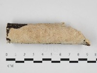 登錄號:F0032972藏品圖，第1張