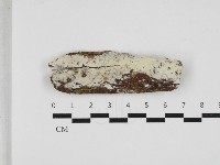 登錄號:F0032973藏品圖，第1張