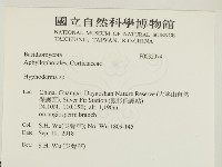 絲皮菌屬藏品圖，第2張