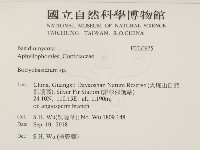 登錄號:F0032975藏品圖，第2張