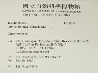 館號:F0032978藏品圖，第2張
