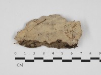 館號:F0032978藏品圖，第1張