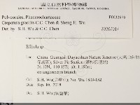 登錄號:F0032979藏品圖，第2張