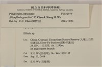 登錄號:F0032979藏品圖，第3張
