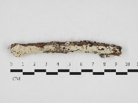 登錄號:F0032980藏品圖，第1張
