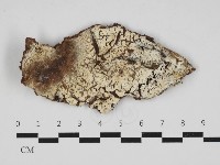 登錄號:F0032981藏品圖，第1張
