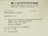 登錄號:F0032982藏品圖，第2張
