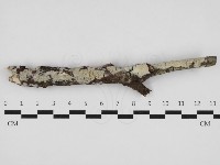 登錄號:F0032983藏品圖，第1張