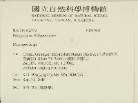 小孔菌屬藏品圖，第2張