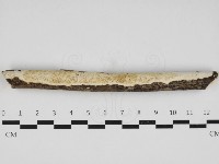 登錄號:F0032985藏品圖，第1張