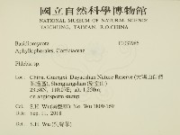 登錄號:F0032986藏品圖，第2張