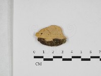 登錄號:F0032986藏品圖，第1張