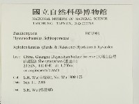 登錄號:F0032988藏品圖，第2張