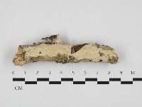 登錄號:F0032988藏品圖，第1張