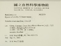 登錄號:F0032989藏品圖，第2張