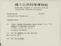 絲皮菌屬藏品圖，第2張