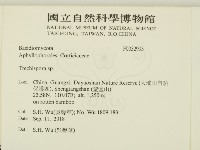 登錄號:F0032993藏品圖，第2張