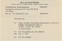 登錄號:F0032993藏品圖，第3張