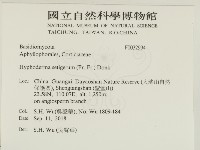 剛毛絲皮菌藏品圖，第2張