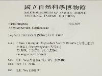 登錄號:F0032995藏品圖，第2張