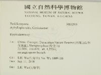 絲皮菌屬藏品圖，第2張