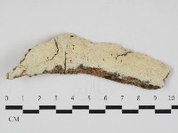 登錄號:F0032998藏品圖，第1張