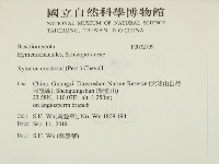 登錄號:F0032999藏品圖，第2張