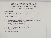 登錄號:F0033001藏品圖，第2張