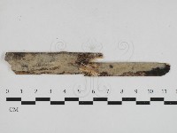 登錄號:F0033001藏品圖，第1張