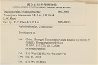 登錄號:F0033001藏品圖，第3張