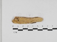 登錄號:F0033002藏品圖，第1張