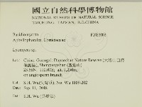 登錄號:F0033003藏品圖，第2張