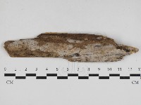 登錄號:F0033006藏品圖，第1張