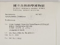 登錄號:F0033007藏品圖，第2張