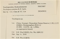 登錄號:F0033007藏品圖，第3張