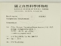 登錄號:F0033009藏品圖，第2張