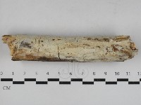 登錄號:F0033011藏品圖，第1張