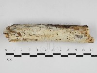 登錄號:F0033011藏品圖，第3張