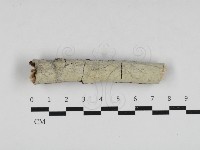 登錄號:F0033012藏品圖，第1張