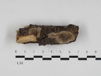 登錄號:F0033013藏品圖，第1張